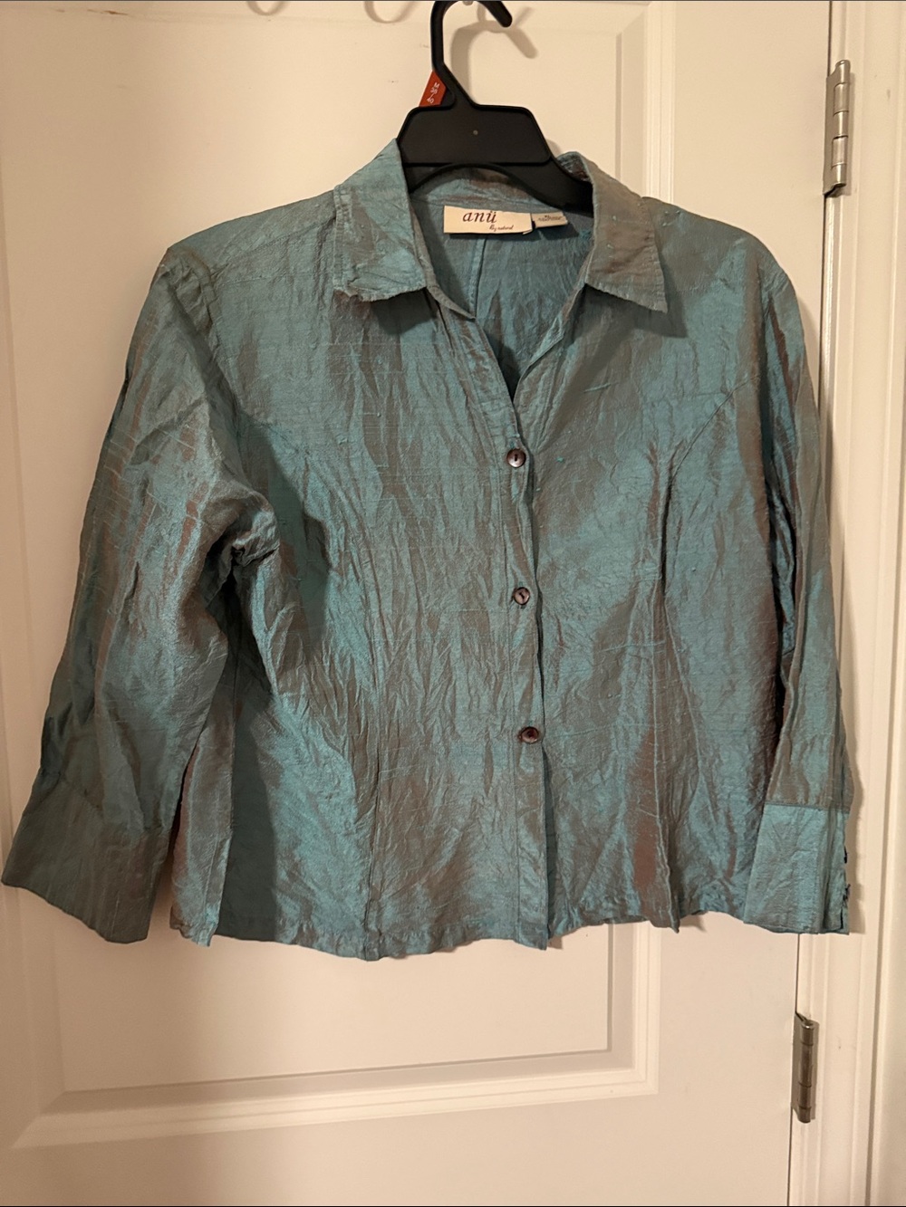 Anni Shimmery Aqua Button-Down Blouse